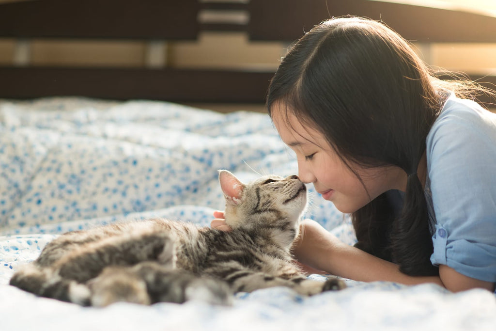 Are Cat Bites Dangerous?