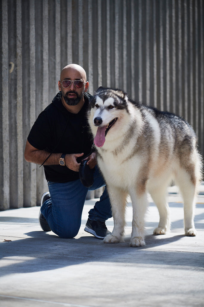 Yes, You Can! Train your dog - The Book